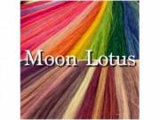 ムーンロータス(Moon Lotus)