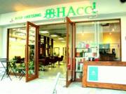 ハッチ(HAcci)